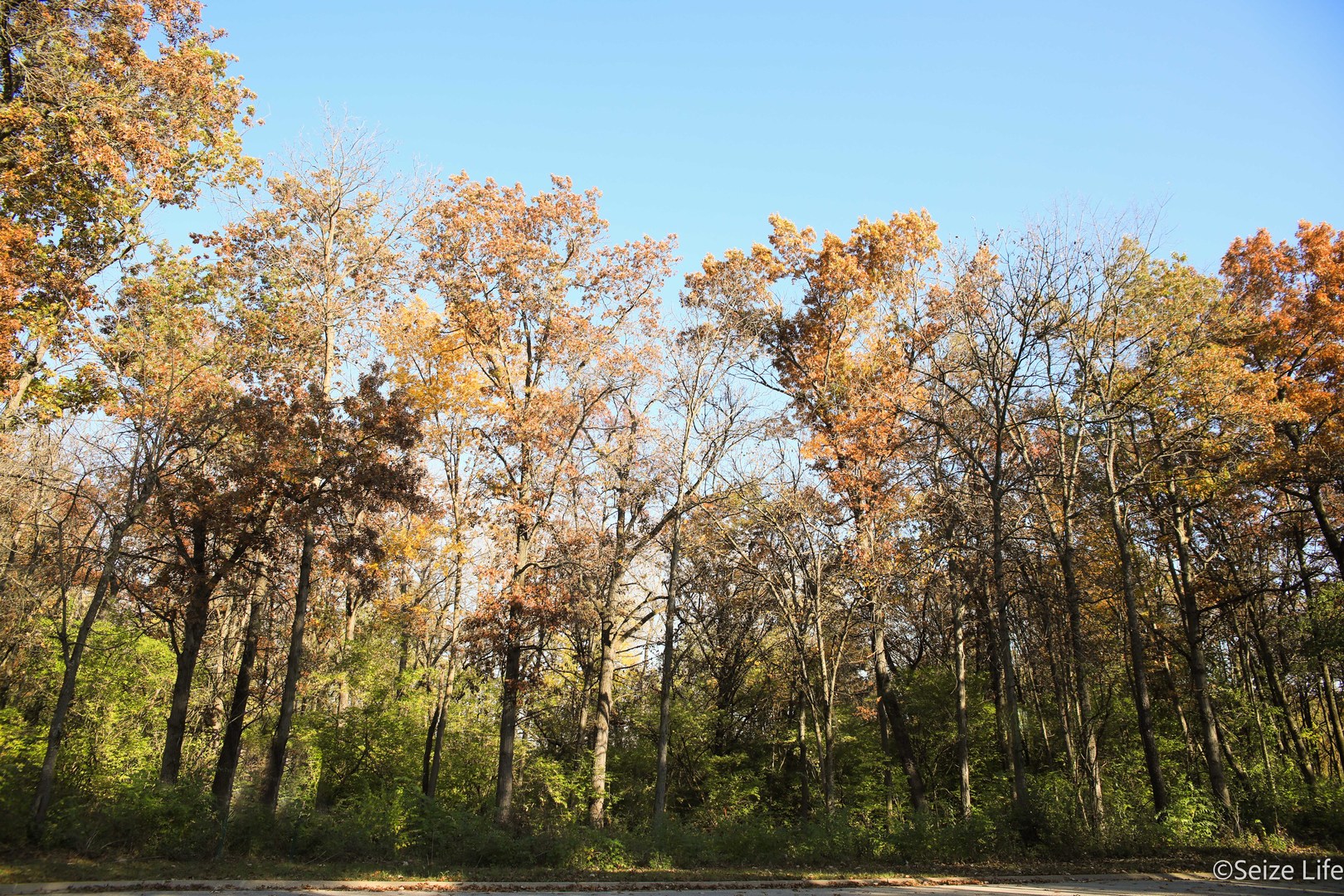 806 Echo (lot 22) Trail Property Photo 1