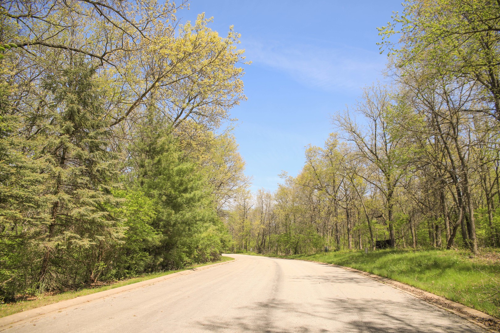 806 Echo (lot 22) Trail Property Photo 3