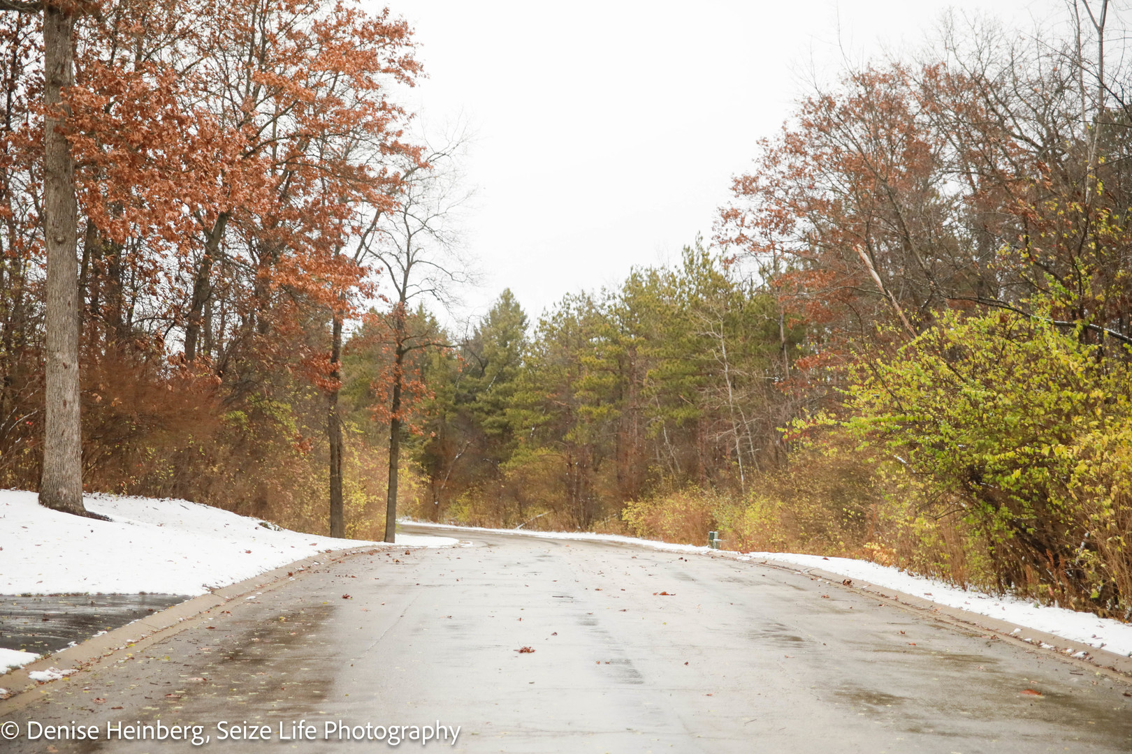 806 Echo (lot 22) Trail Property Photo 6