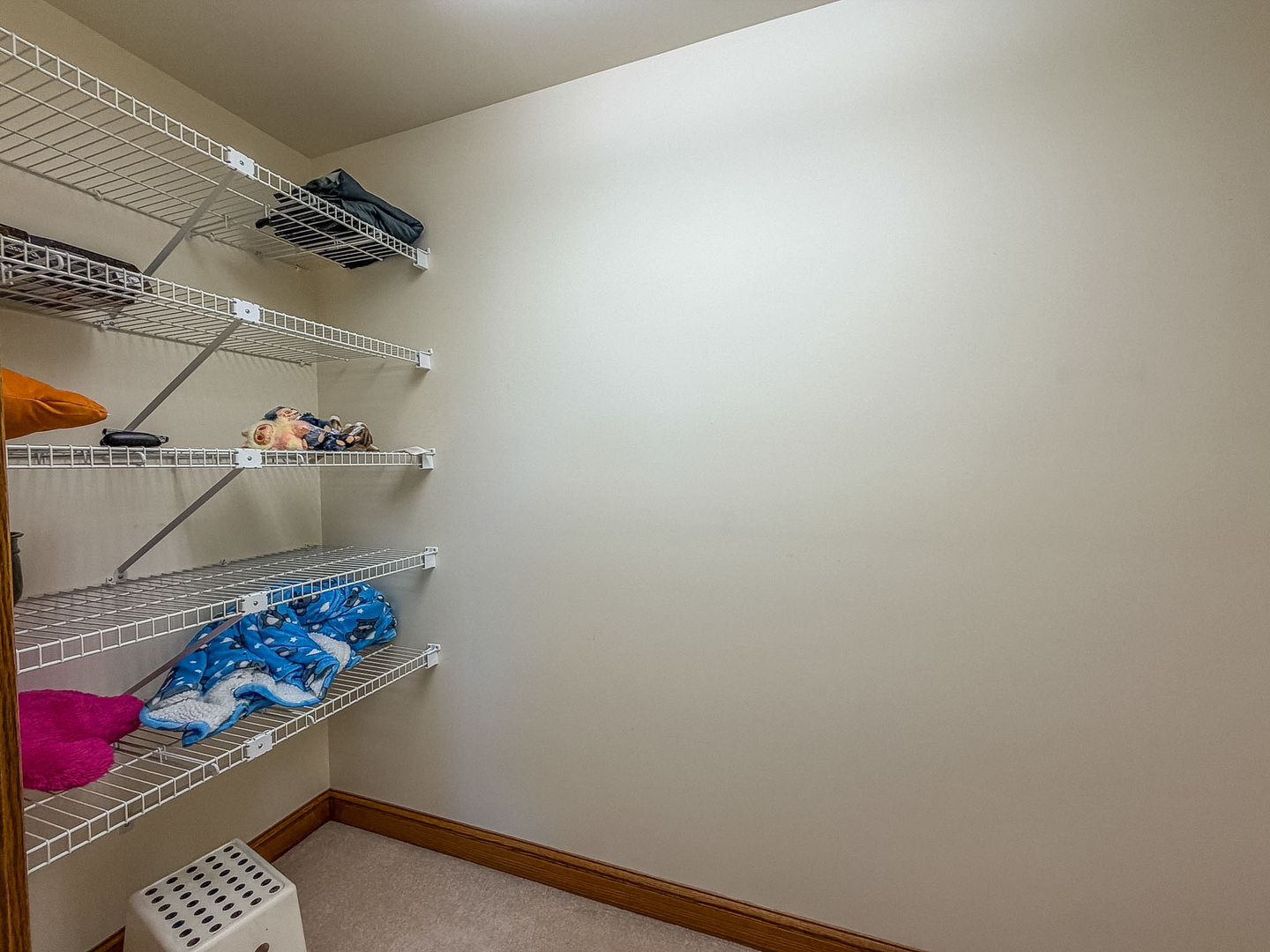 613 Pittsfield Drive Property Photo 46
