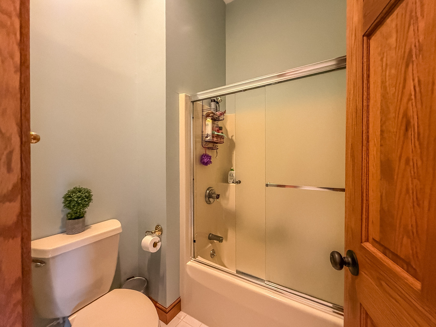 613 Pittsfield Drive Property Photo 55
