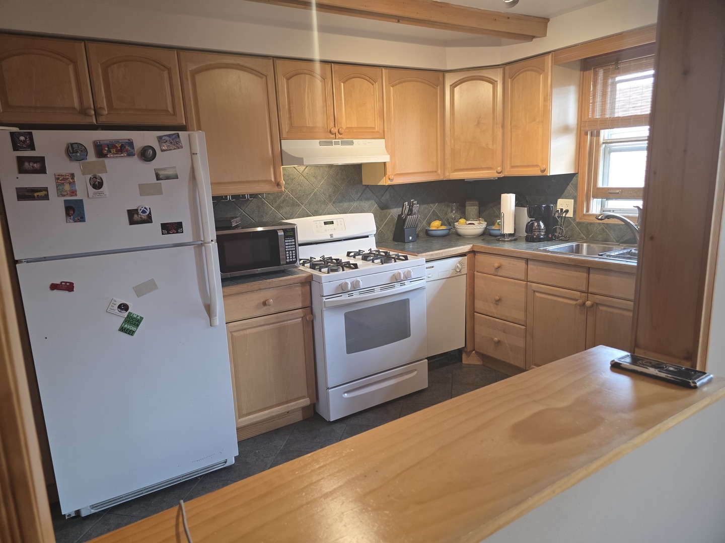 2041 N Harlem Avenue 3e Property Photo 7