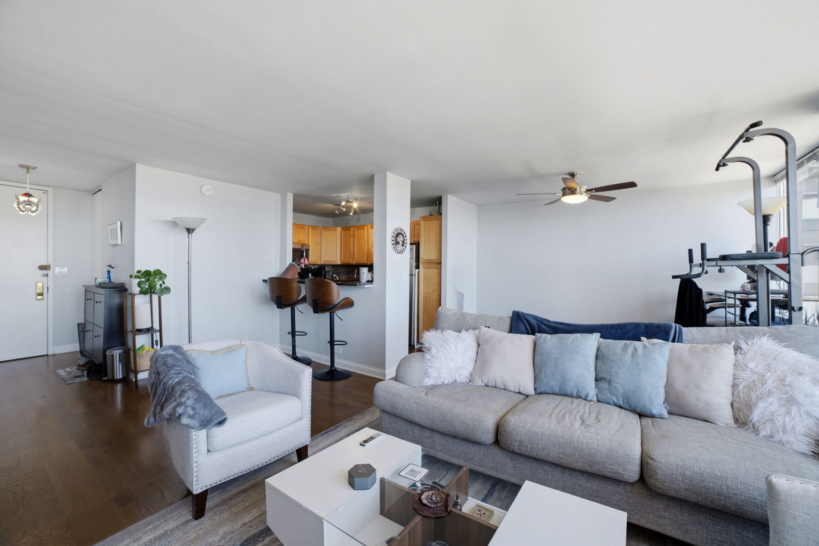 655 W Irving Park Road 2704 Property Photo 5