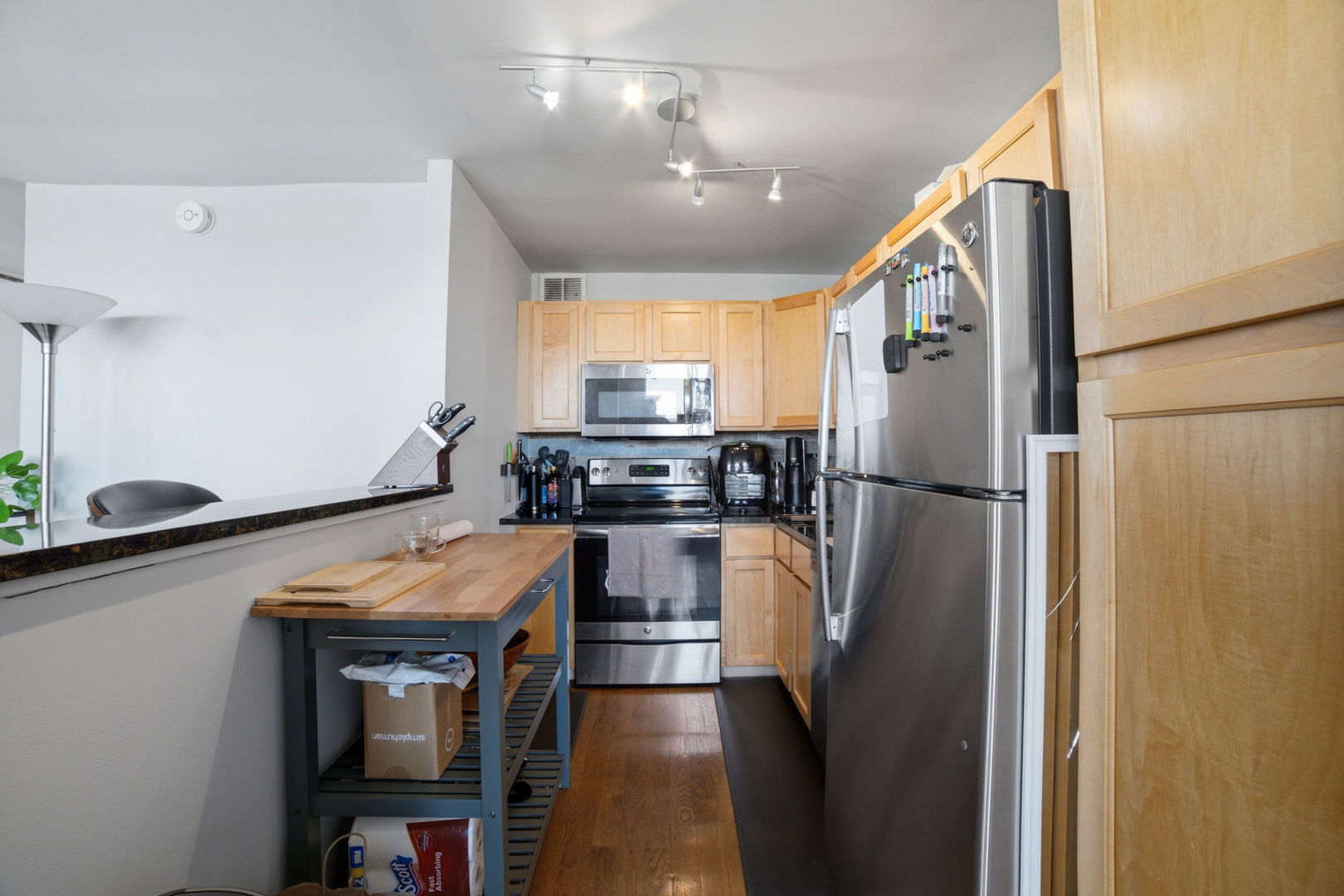 655 W Irving Park Road 2704 Property Photo 10