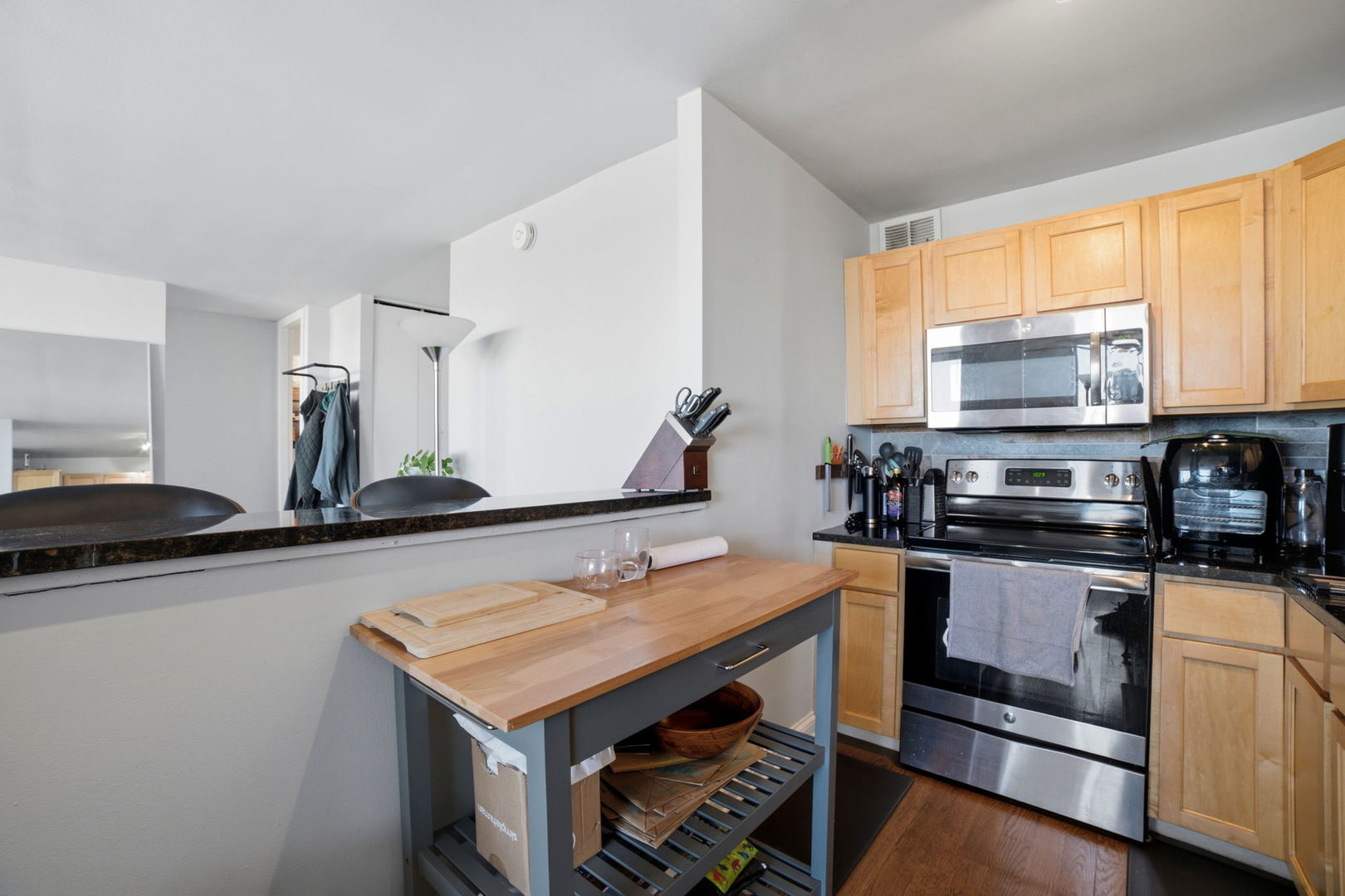 655 W Irving Park Road 2704 Property Photo 12