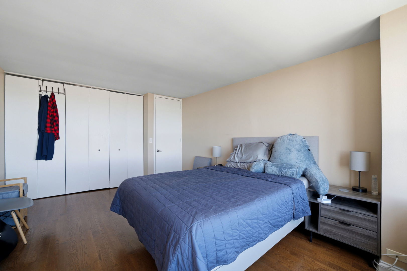 655 W Irving Park Road 2704 Property Photo 17