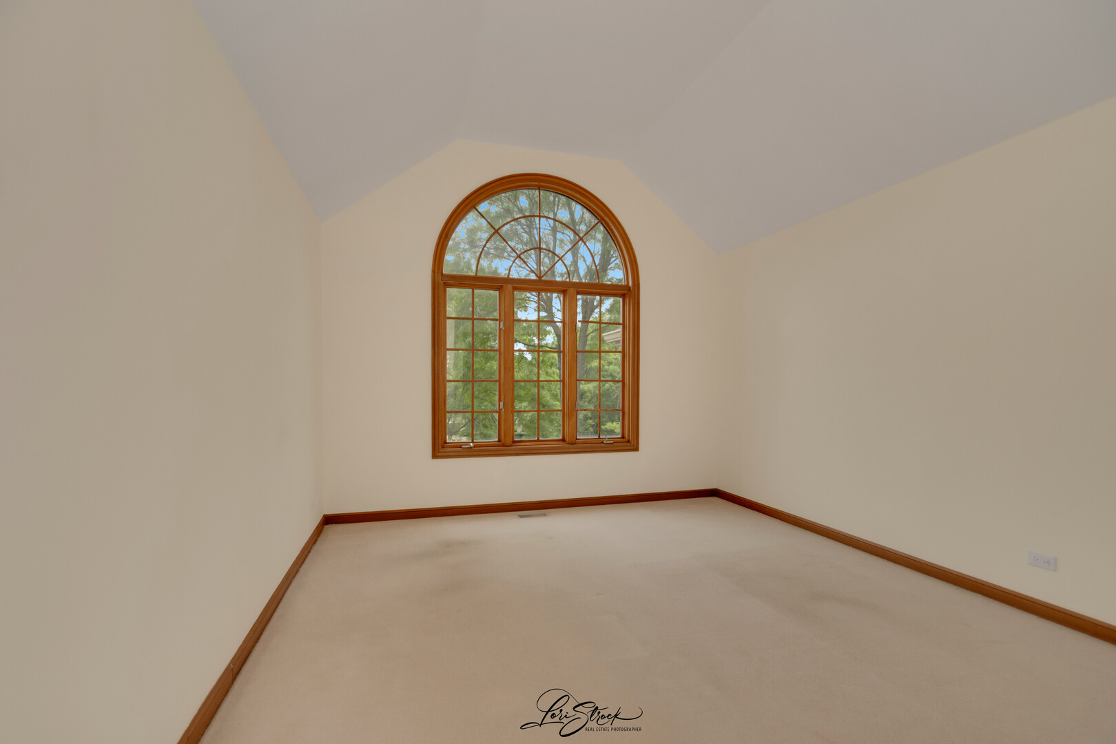 542 W Rosiland Drive Property Photo 29