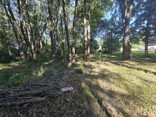 0000 E North Avenue Property Photo 5