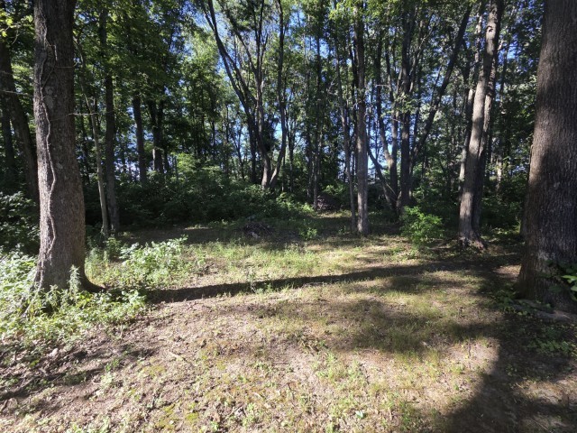 0000 E North Avenue Property Photo 6
