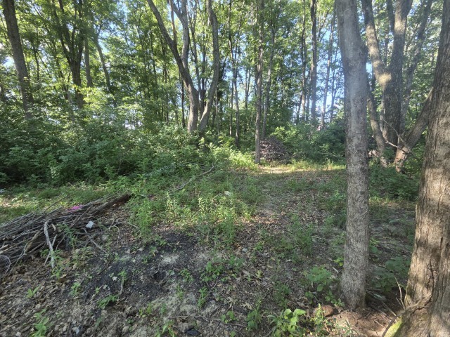 0000 E North Avenue Property Photo 9