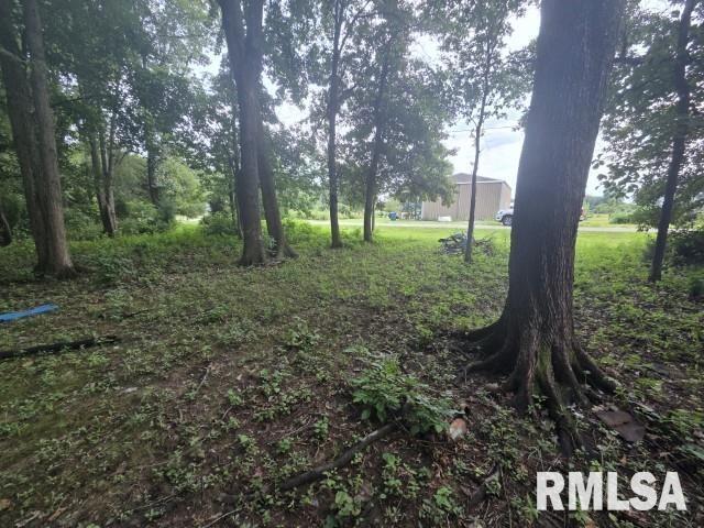 0000 E North Avenue Property Photo 17