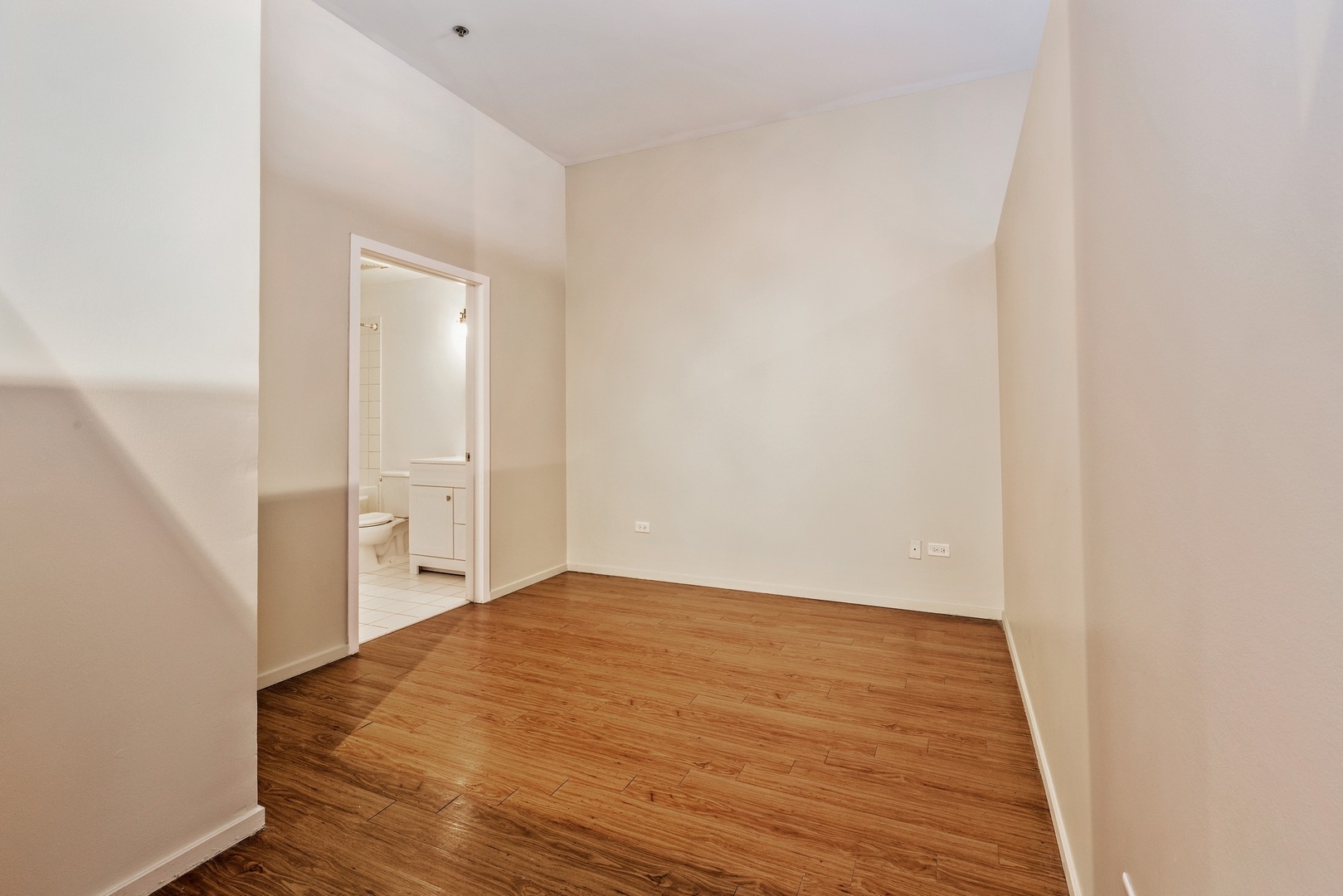 1000 E 53rd Street 302 Property Photo 7