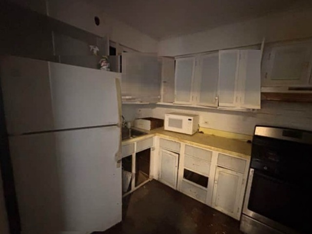 4447 Idlewild Lane Property Photo 8