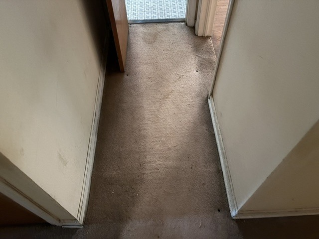 6531 N Hoyne Avenue 1s Property Photo 5