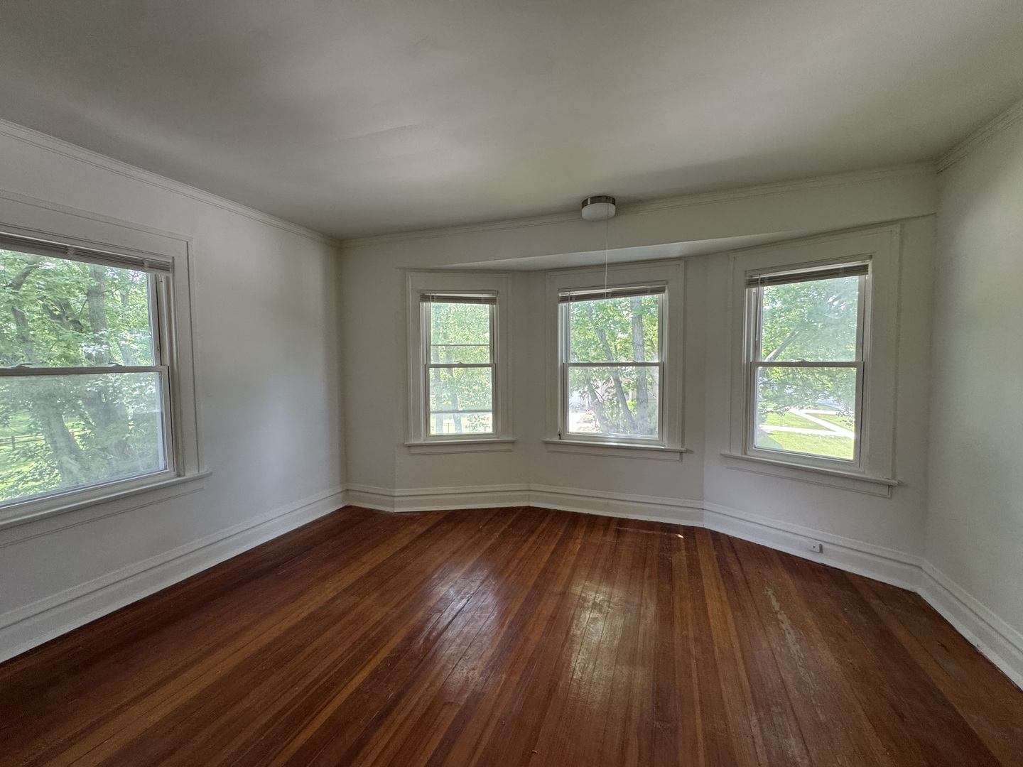 519 S Hale Street Property Photo 11