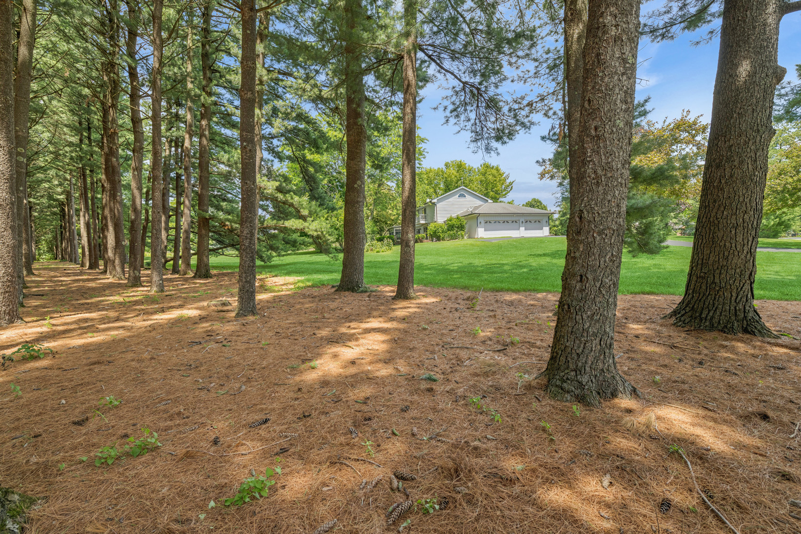 205 Whitaker Court Property Photo 34