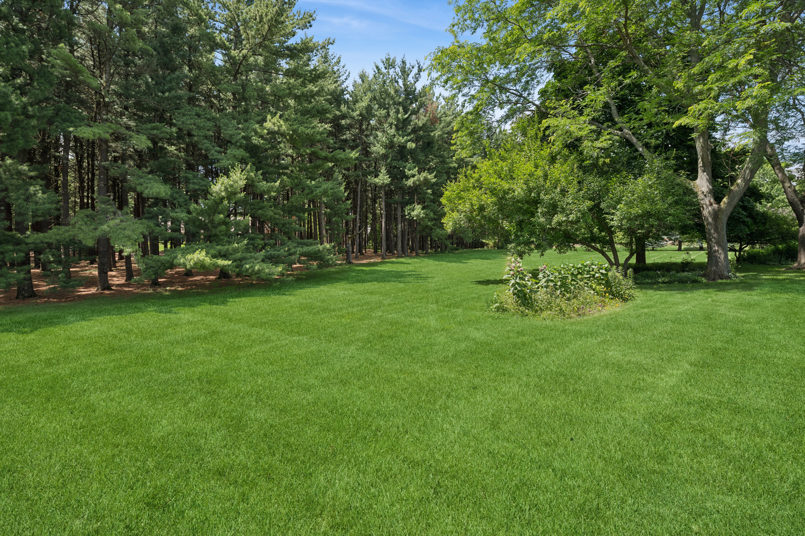 205 Whitaker Court Property Photo 35