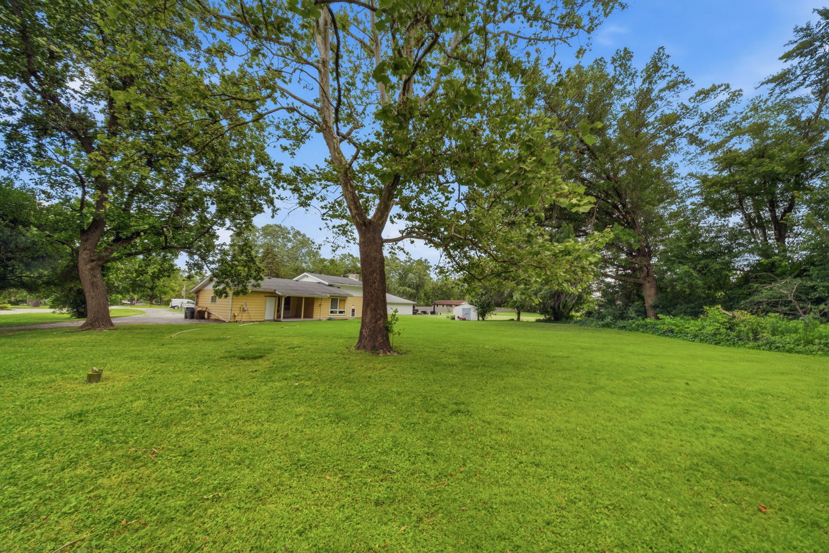 4110 Orchard Lane Property Photo 22