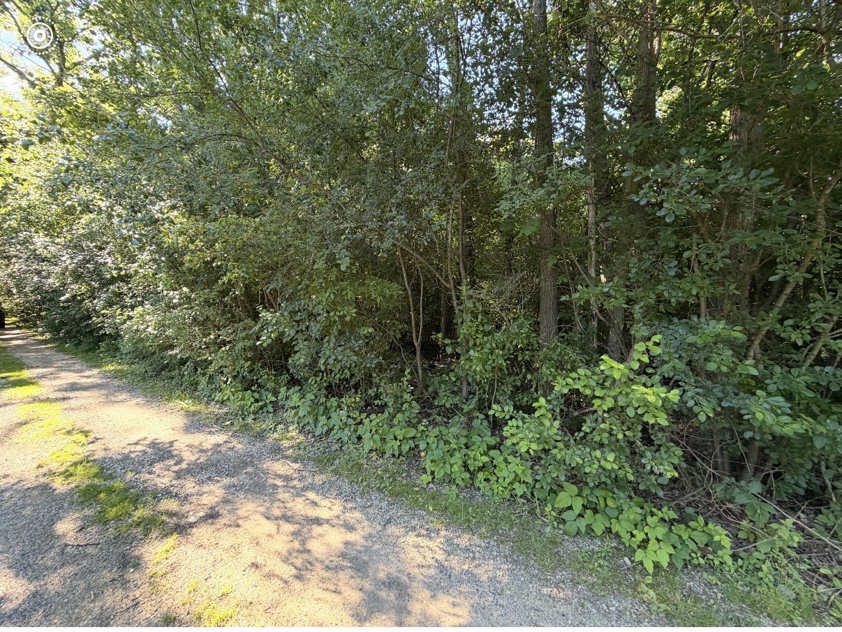 193 Melvin Drive Property Photo 3