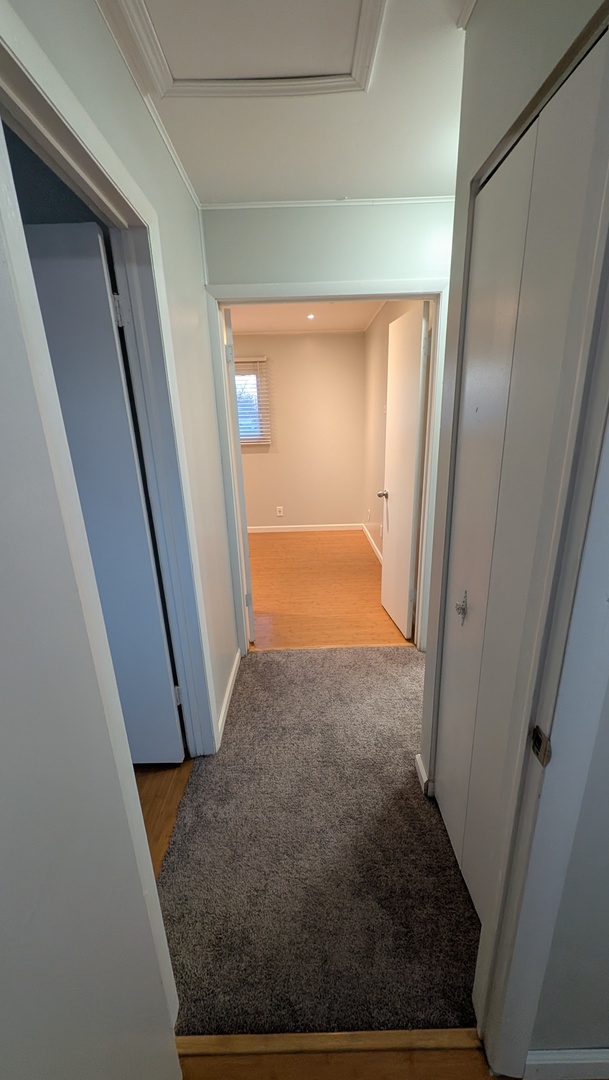 117 Galewood Drive Property Photo 27