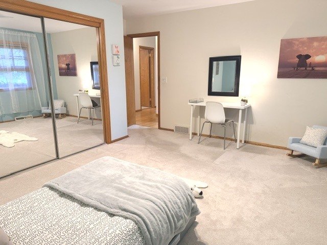 16 Falkirk Road Property Photo 27