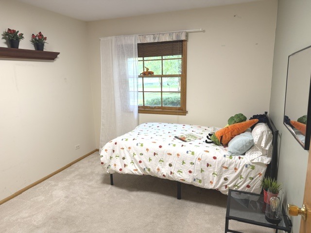 16 Falkirk Road Property Photo 28