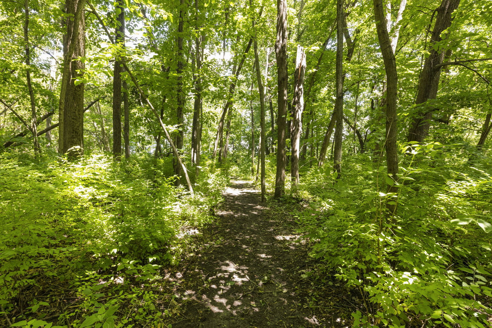 7479 Grove Road Property Photo 50