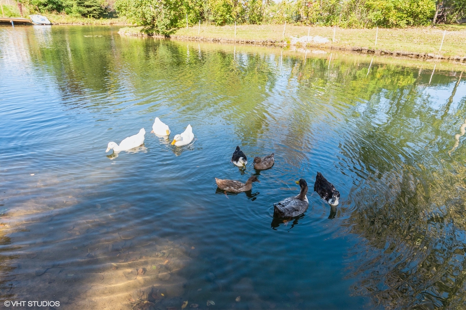 99 Lakeshore Drive Property Photo 35