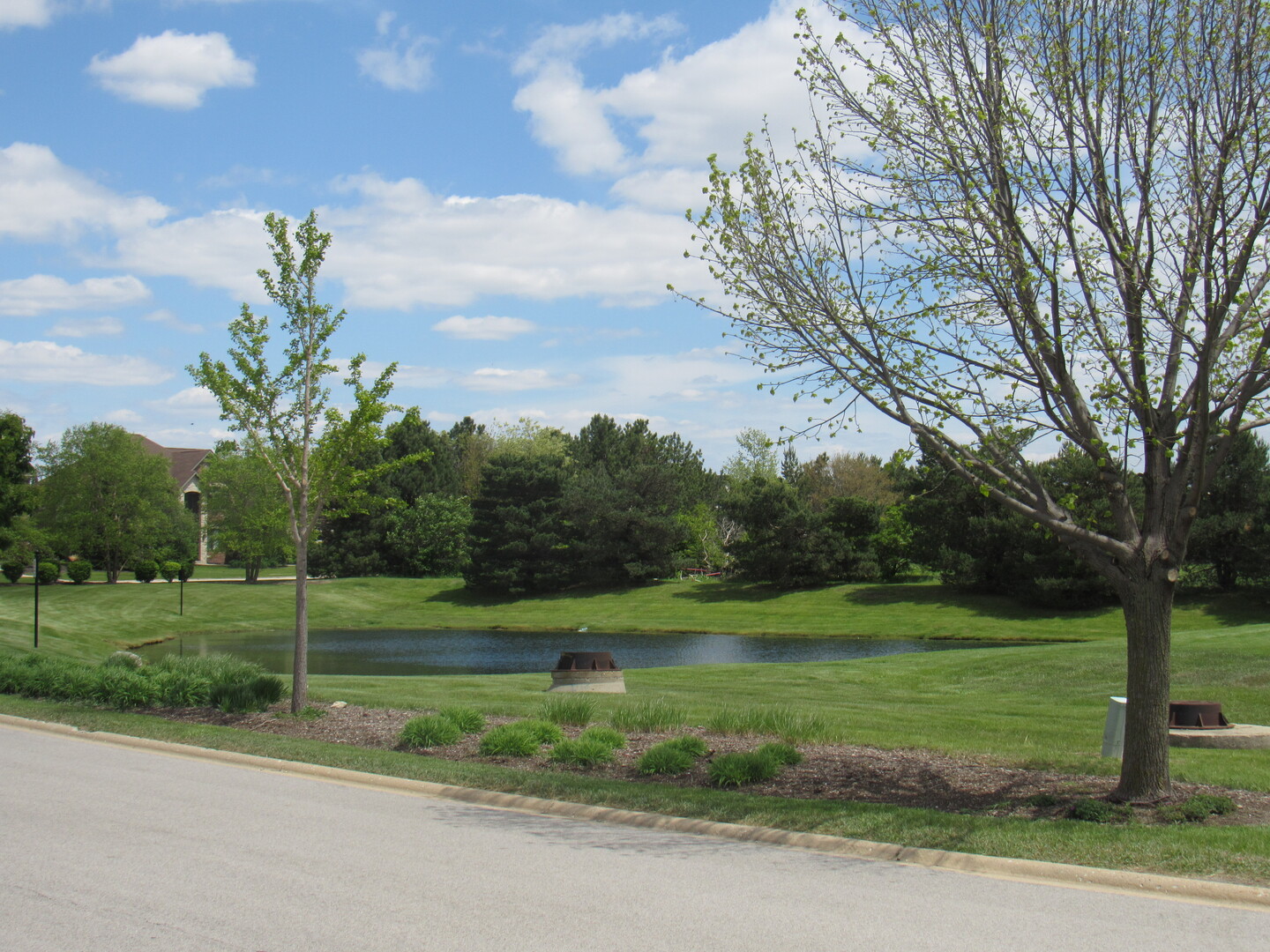 22276 Elise Boulevard Property Photo 4