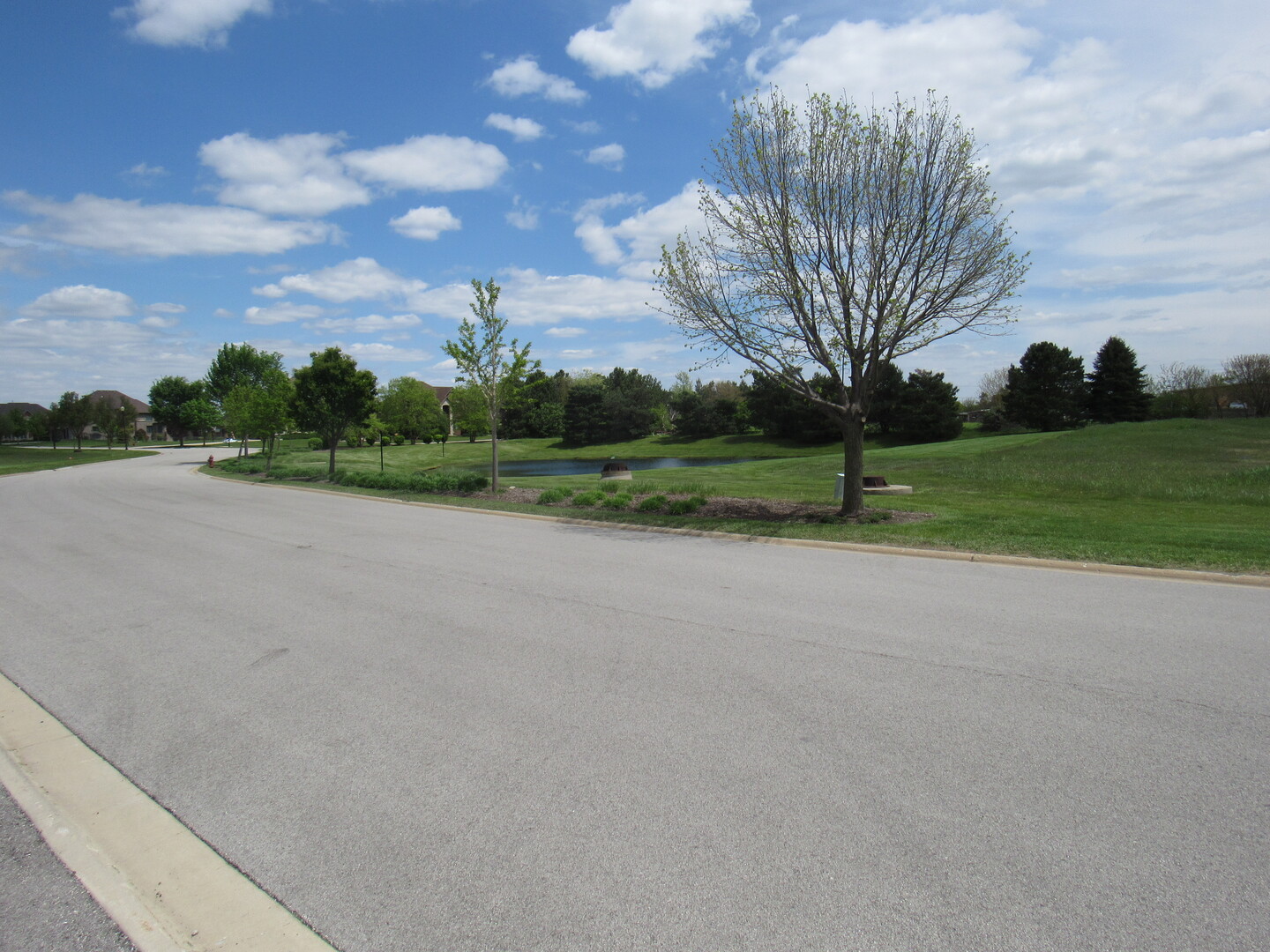 22276 Elise Boulevard Property Photo 6