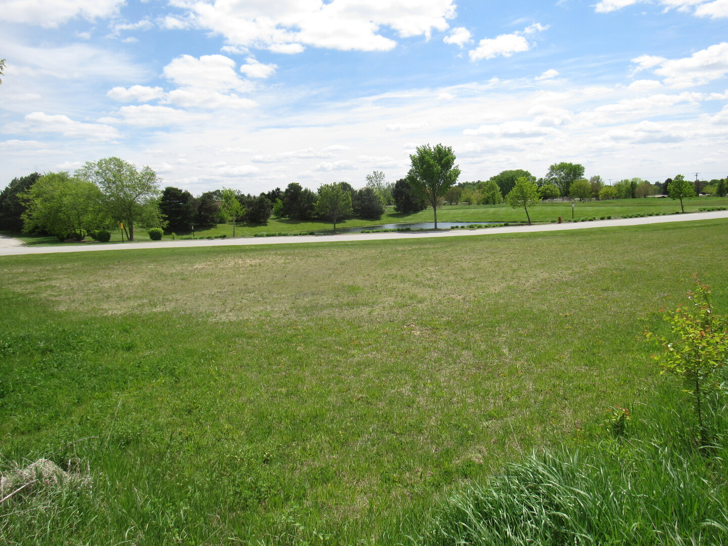 22276 Elise Boulevard Property Photo 11