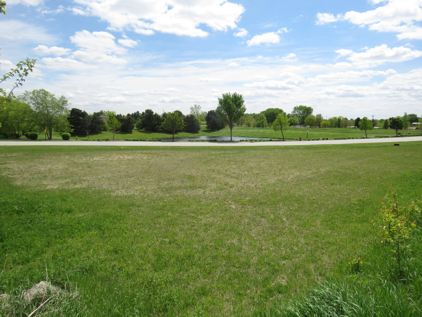 22276 Elise Boulevard Property Photo 12