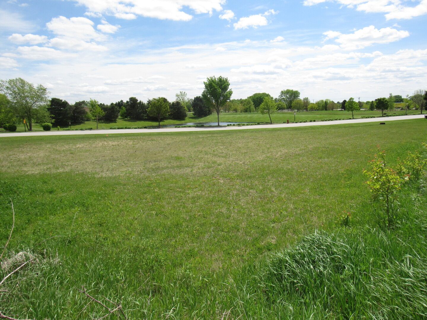 22276 Elise Boulevard Property Photo 13