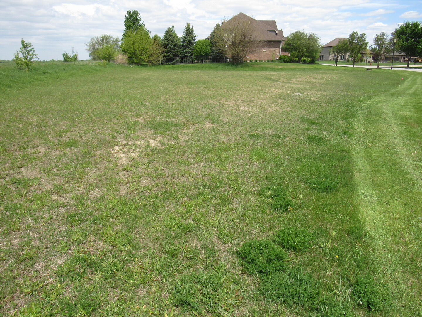 22276 Elise Boulevard Property Photo 17