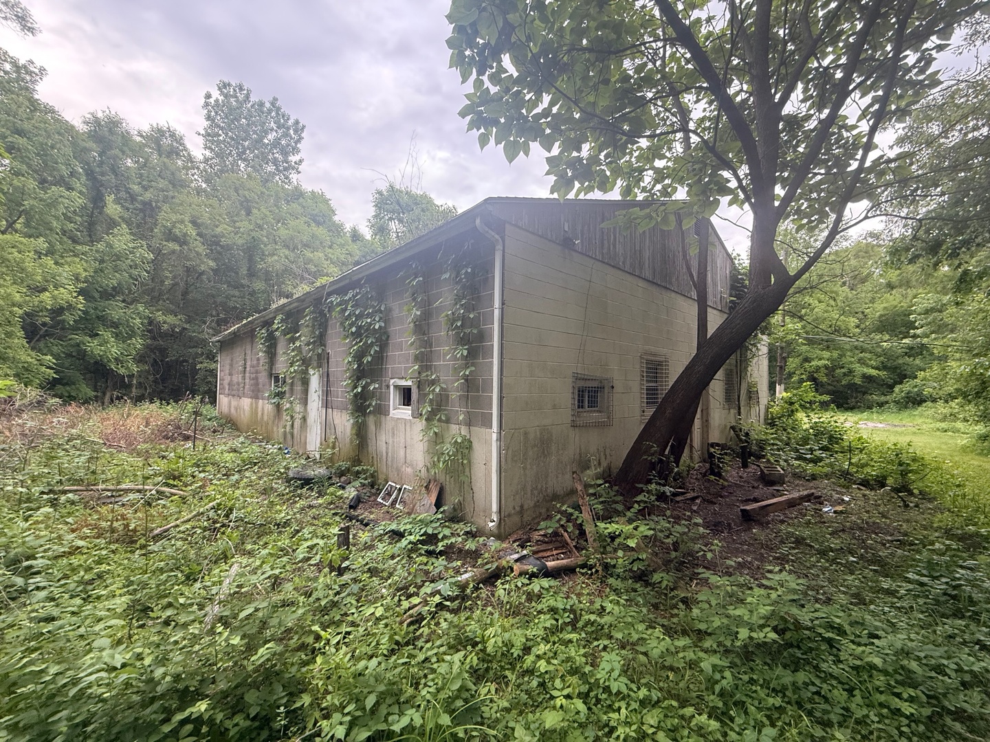 12683441 Property Photo 4
