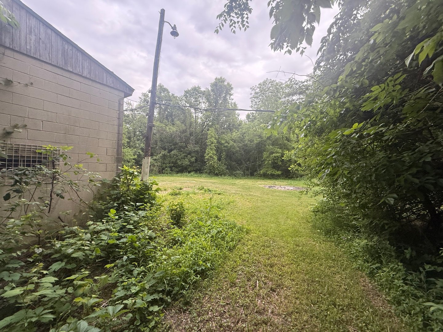 12683441 Property Photo 5