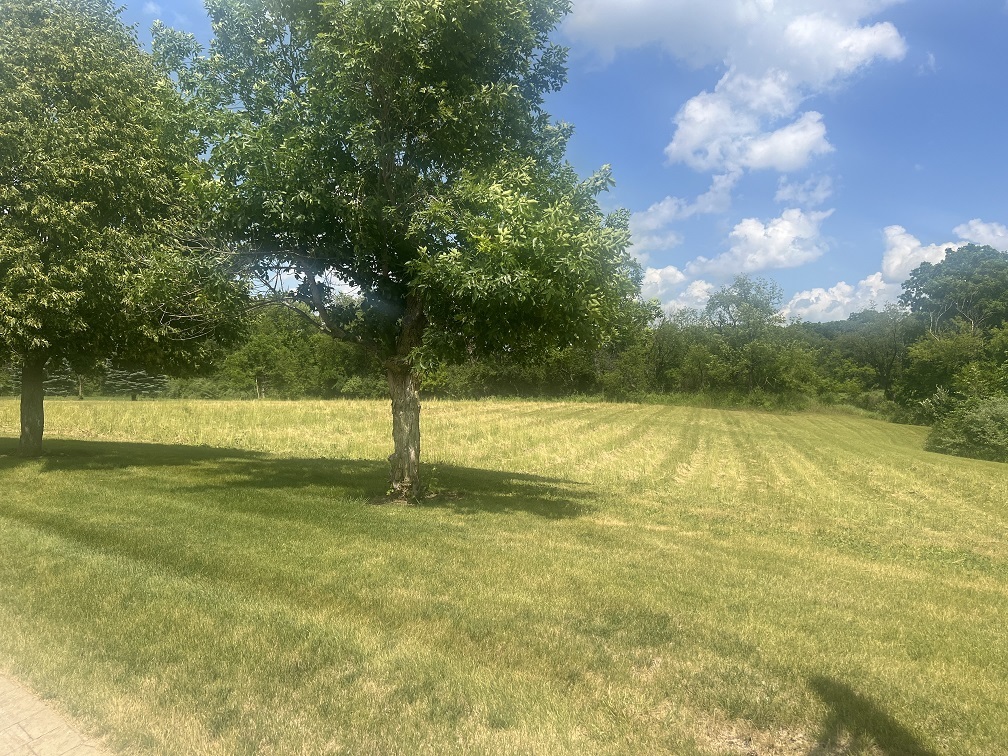 18n647 Ridgefield Boulevard Property Photo 3