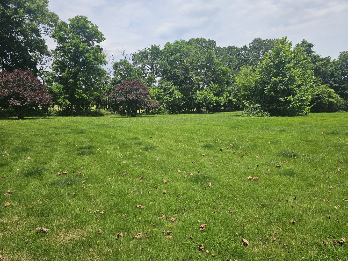 14230 E Windsong Road Property Photo 16