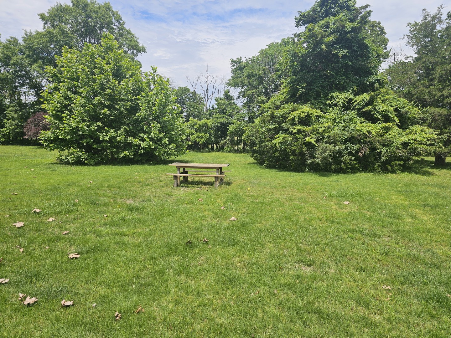 14230 E Windsong Road Property Photo 17