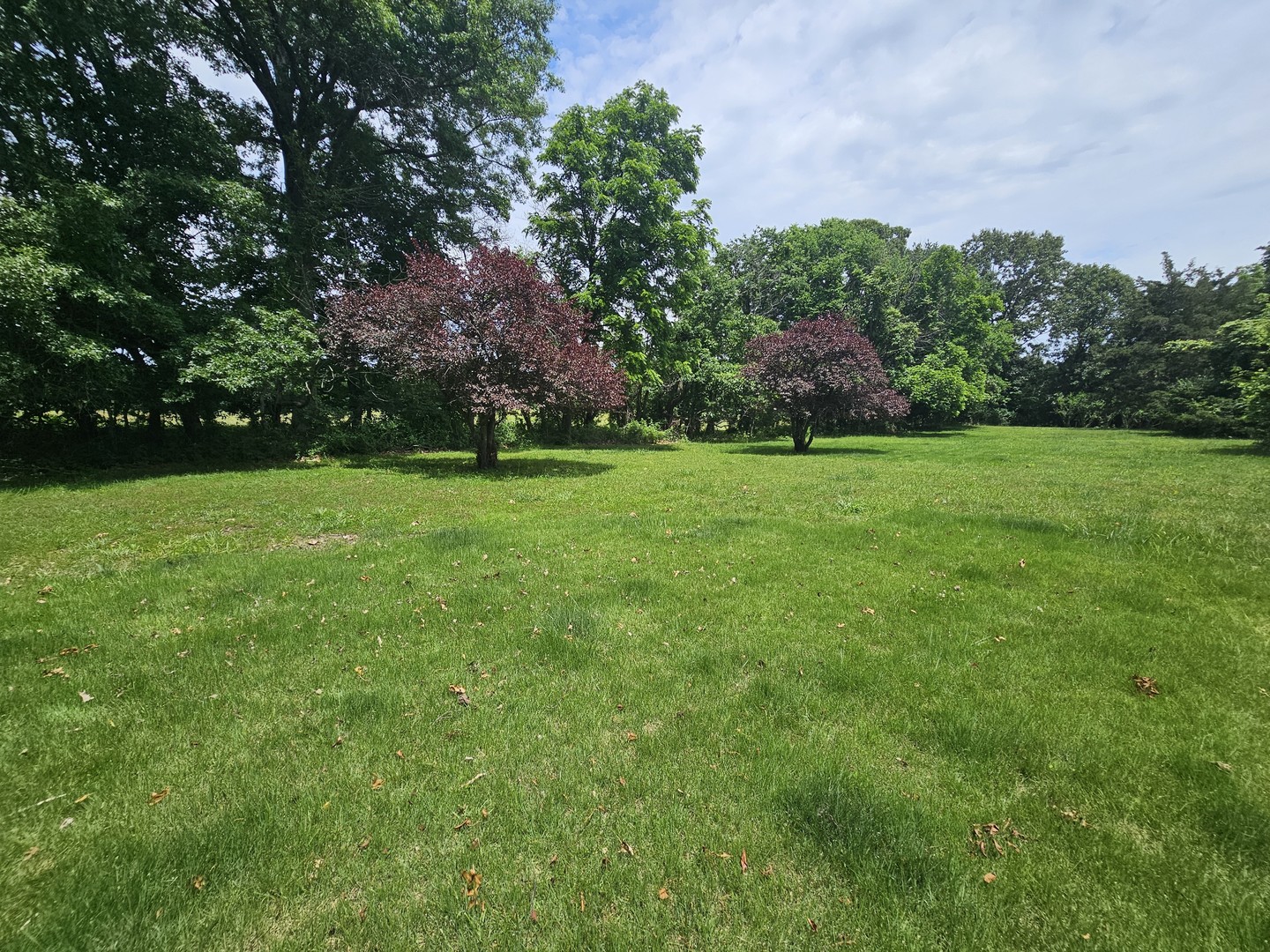 14230 E Windsong Road Property Photo 18