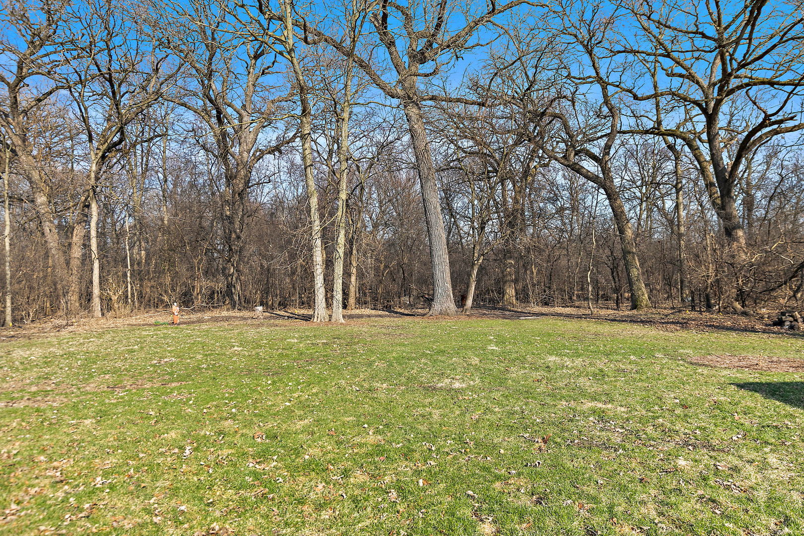 435 Forest Trail Property Photo 9