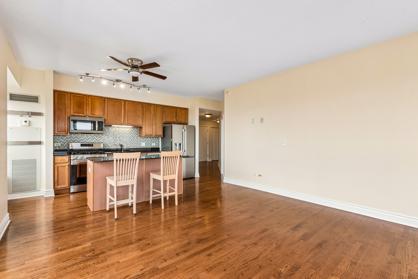 1717 S Prairie Avenue 2206 Property Photo 11