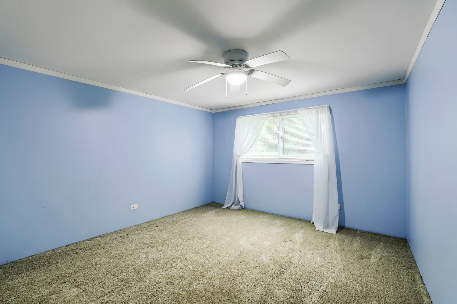 823 Greenwood Avenue Property Photo 20