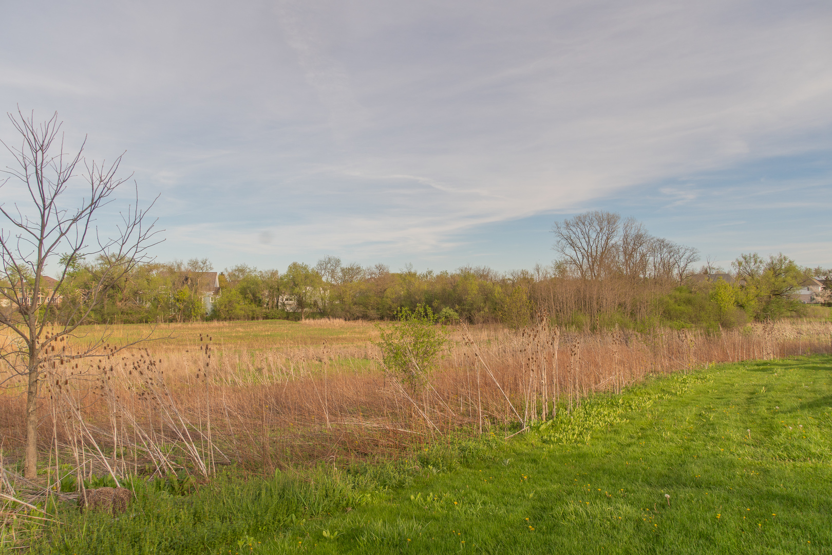 21472 W Il Route 22 Property Photo 10