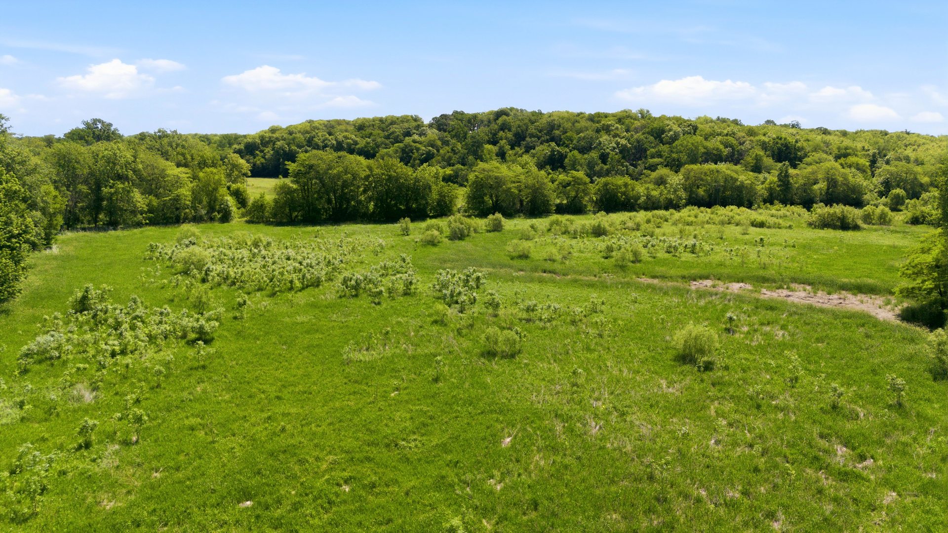 1202 Illinois Highway 84 Property Photo 5