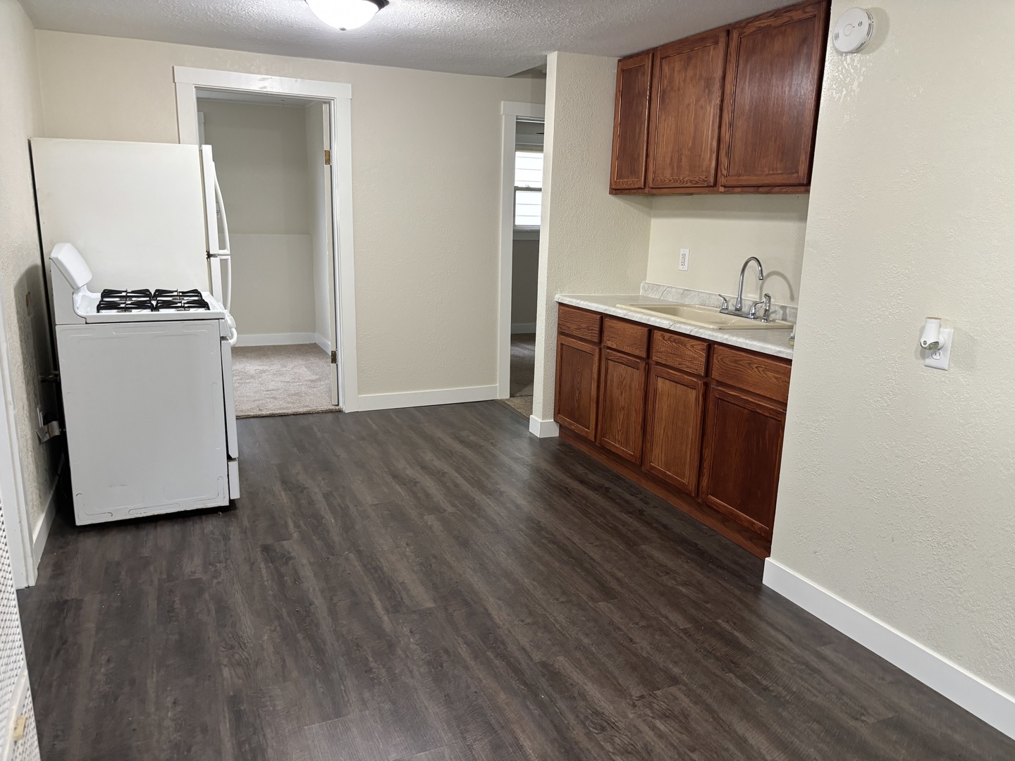 247 E Holmes Street Property Photo 5