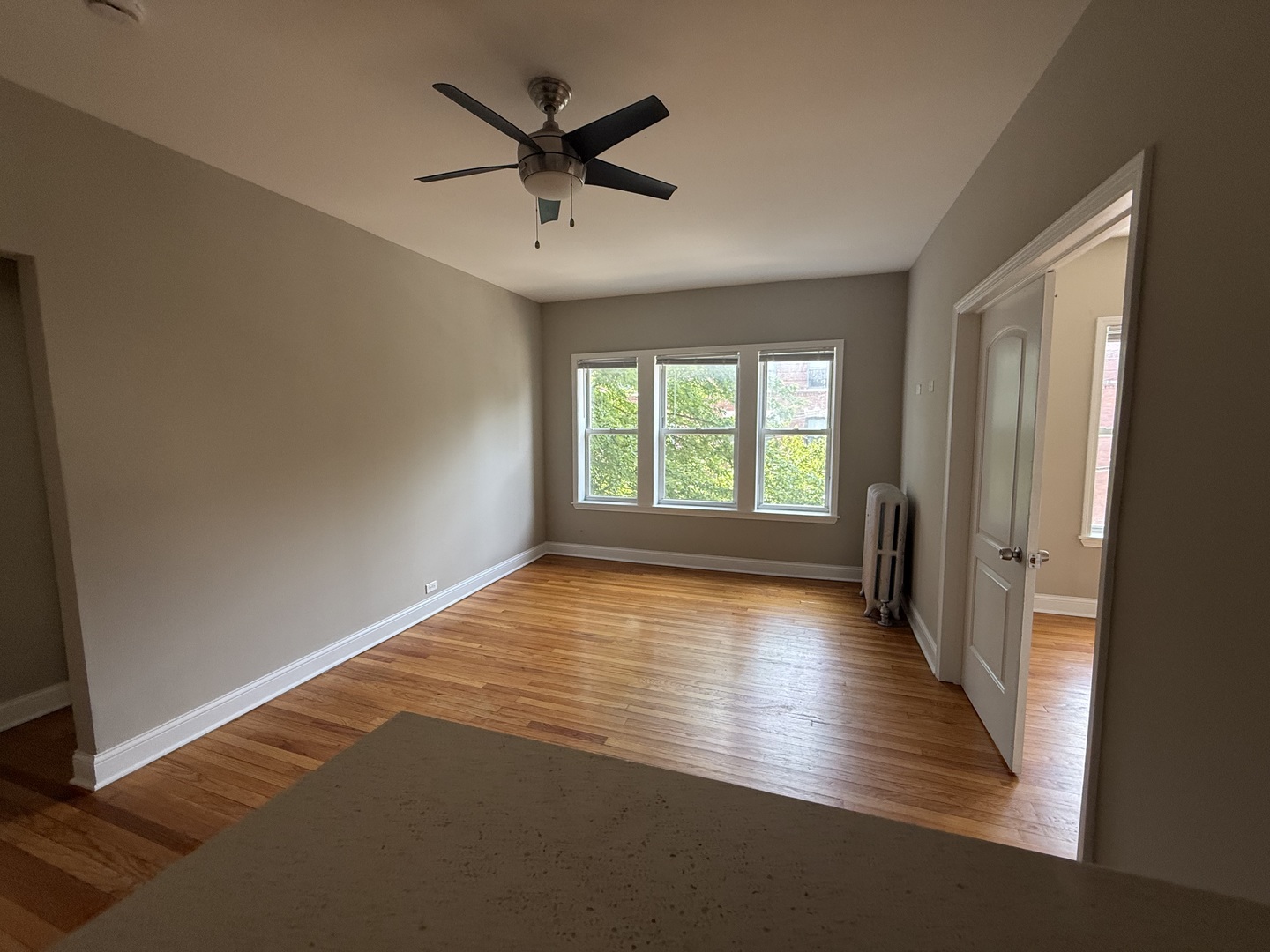 836 E 53rd Street 2s Property Photo 7