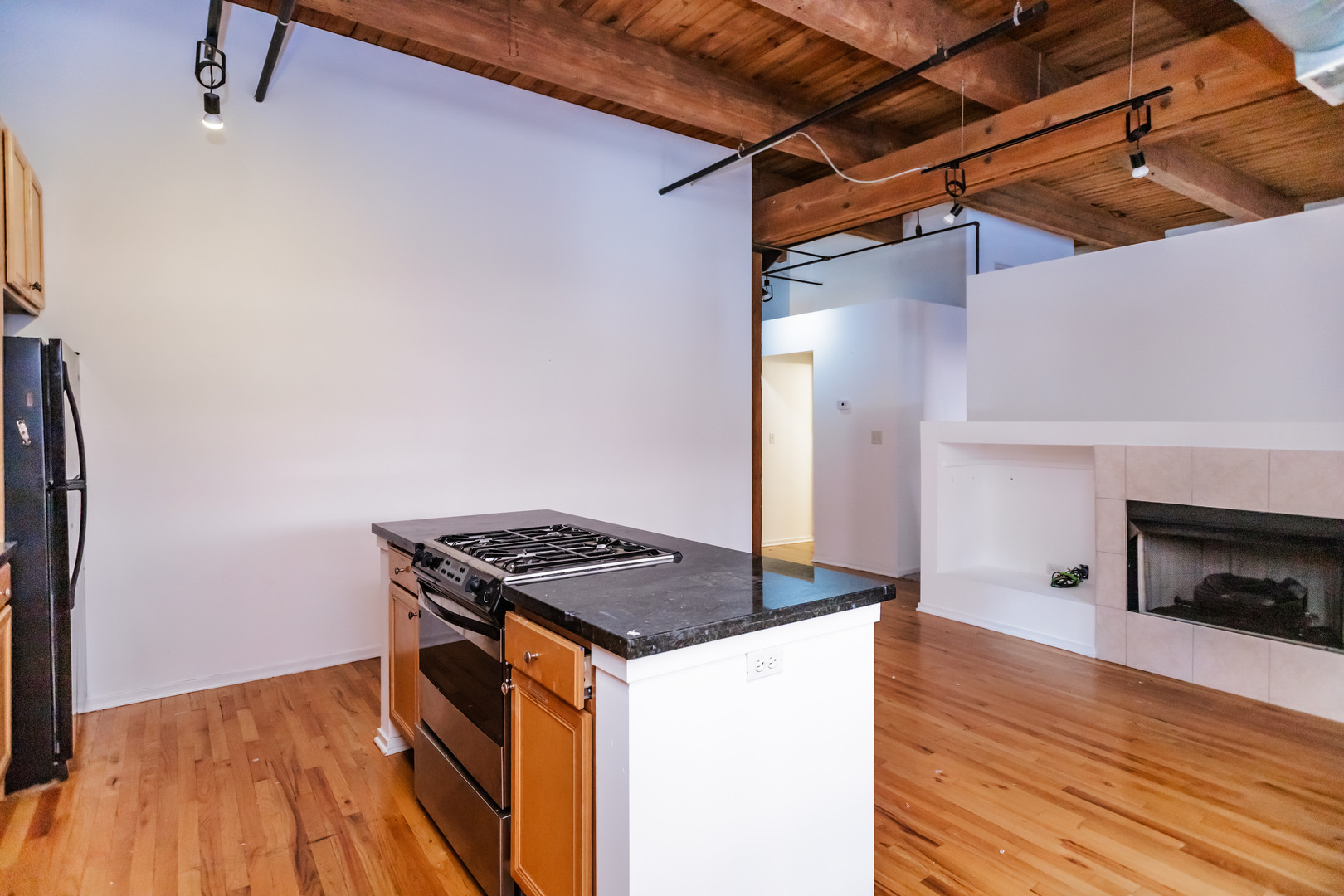 625 W Jackson Boulevard 212 Property Photo 5