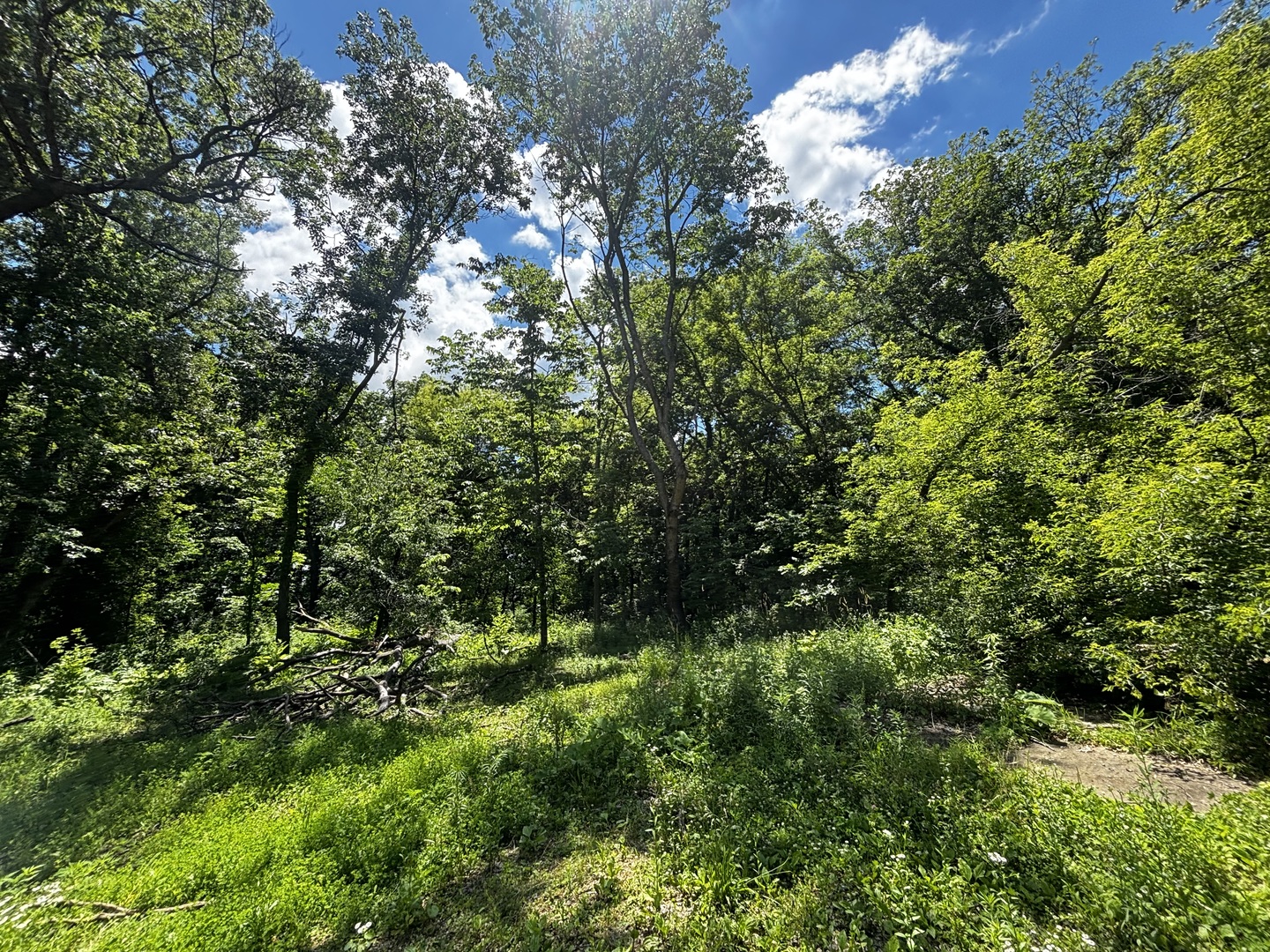 4360 W Rockton Road Property Photo 1