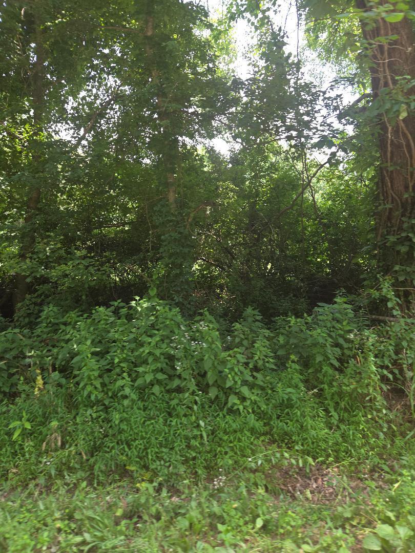 206 Old Villa Ridge Road Property Photo 1
